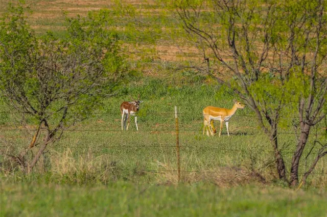 a view of a water pond