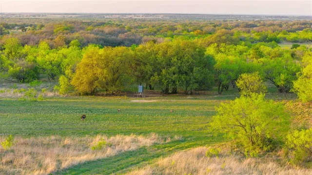 a view of a lake with a big yard