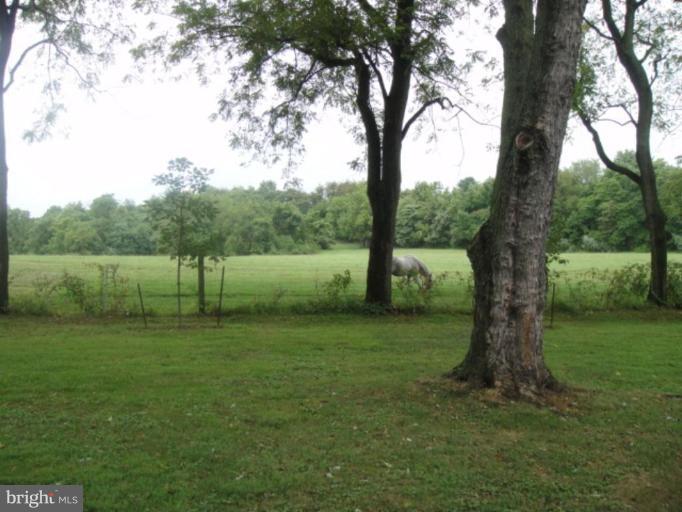 6 Appleton Acres Court Elkton, MD 21921 - Photo 19 of 20 Deck - View from