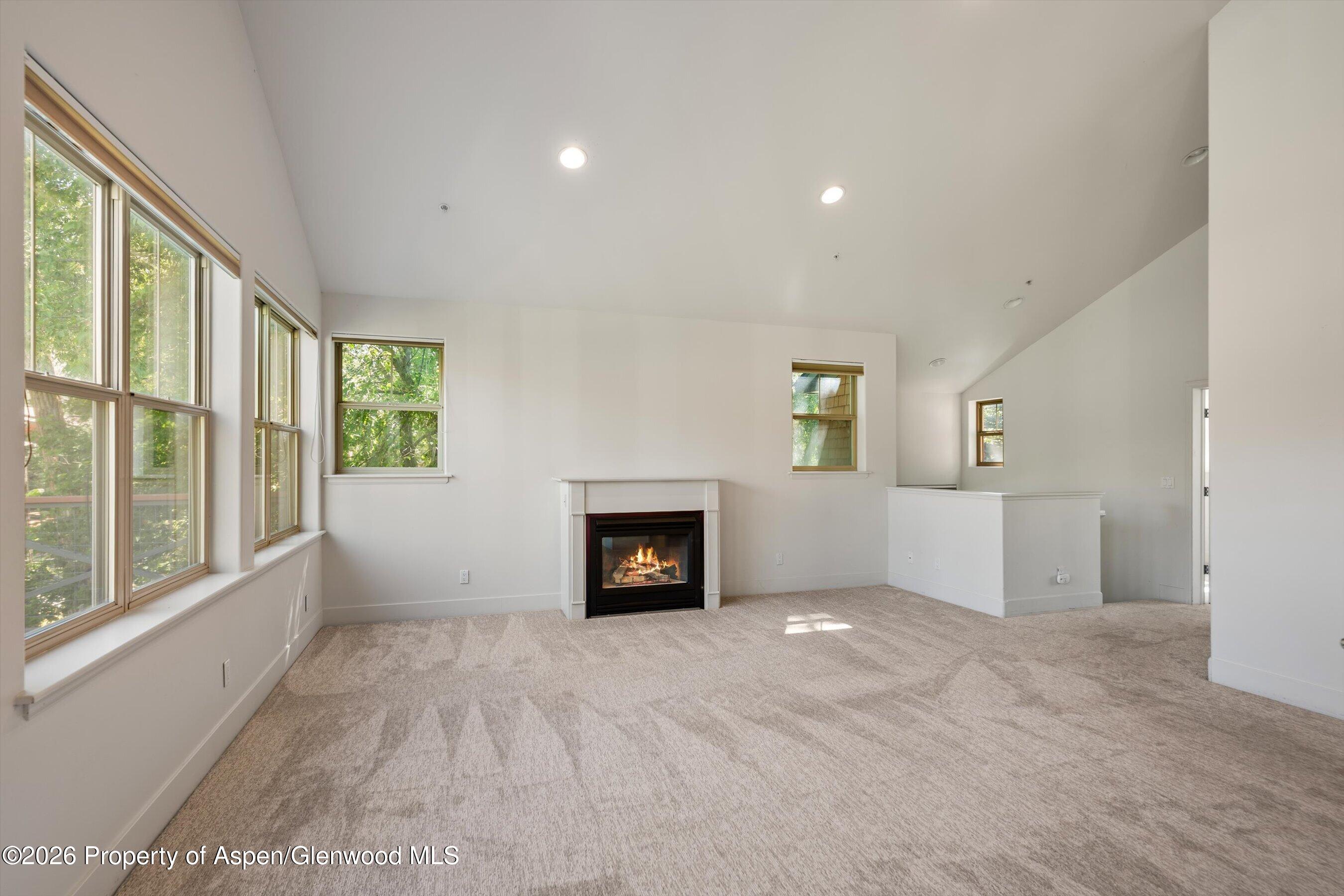 711 Evans Court Basalt, CO 81621 - Photo 6 of 31 18-711EvansCt_26061918