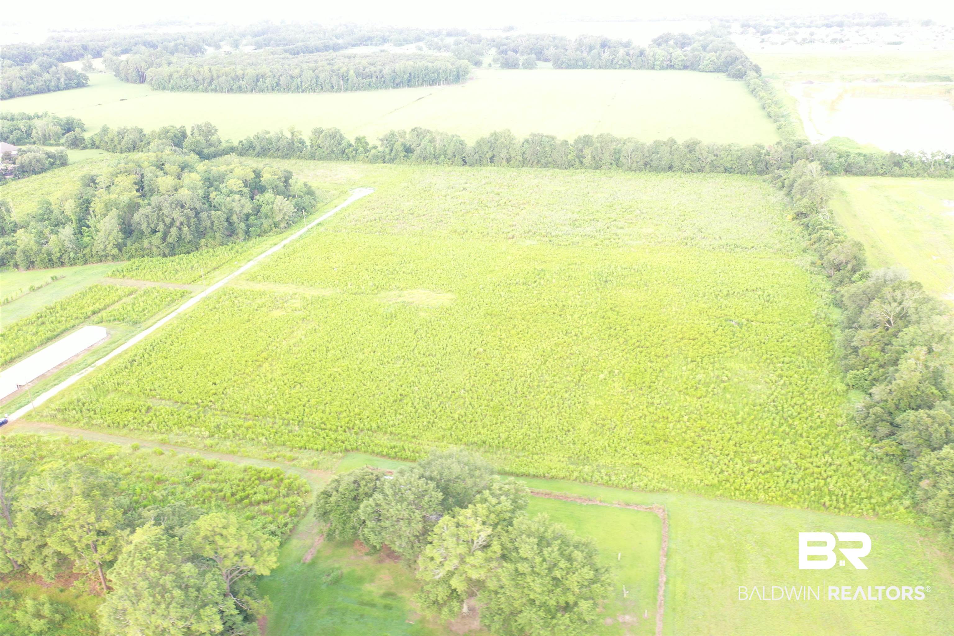 17857 Back Forty Lane Foley, AL 36535 - Photo 6 of 6
