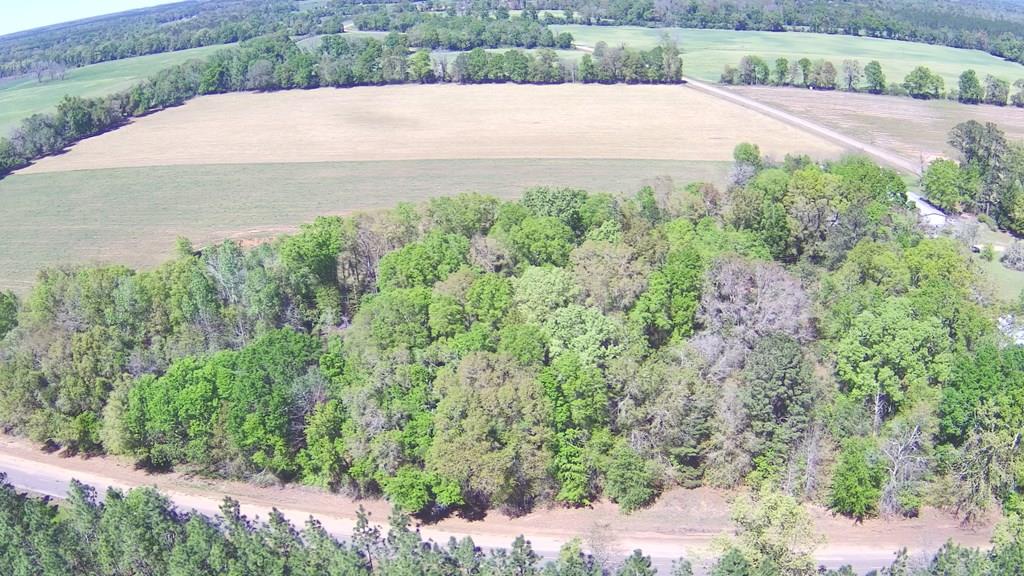 0 Hickory Grove Road Cottonwood, AL 36320 - Photo 1 of 4
