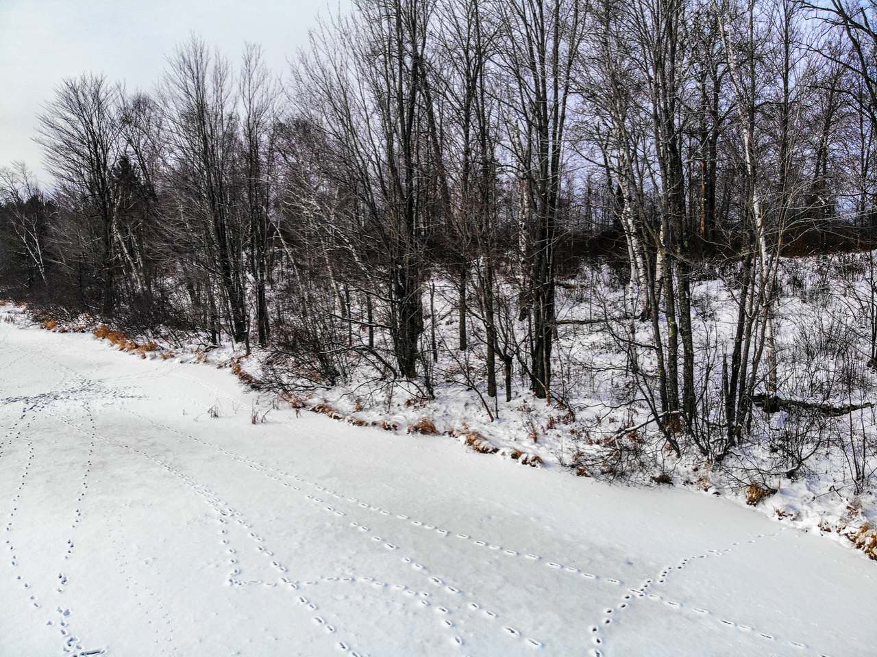 N11113 Mud Lake Road Tomahawk, WI 54487 - Photo 13 of 15 Gallery Image 13