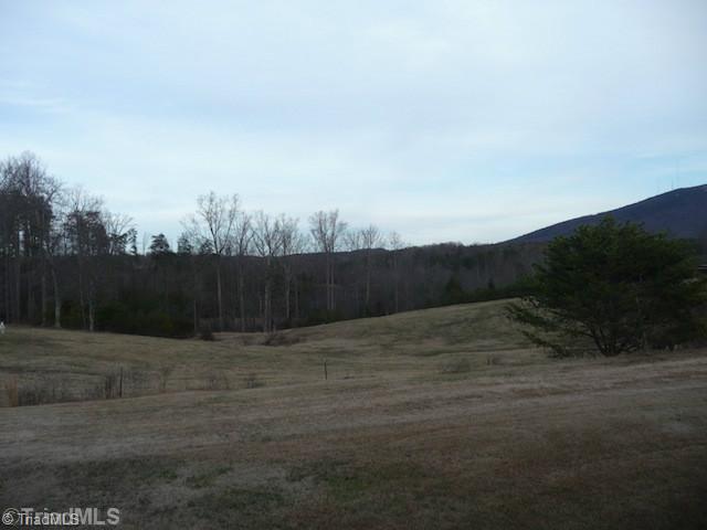 3074 Volunteer Road Pinnacle, NC 27043 - Photo 13 of 16 Land. Rolling pasture land