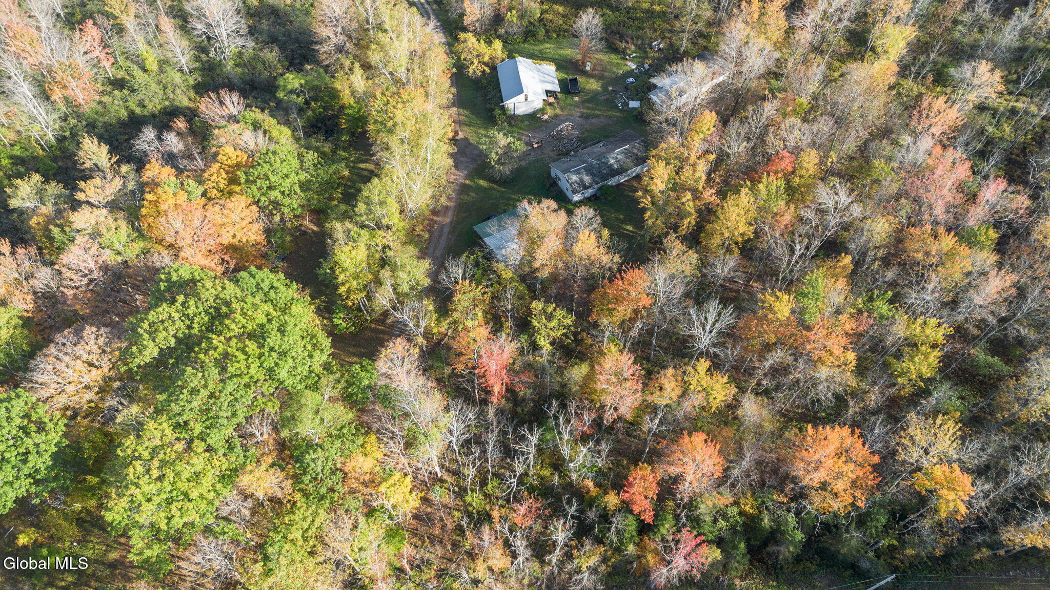 207 Kropp Road Westerlo, NY 12193 - Photo 13 of 15 Photo_9