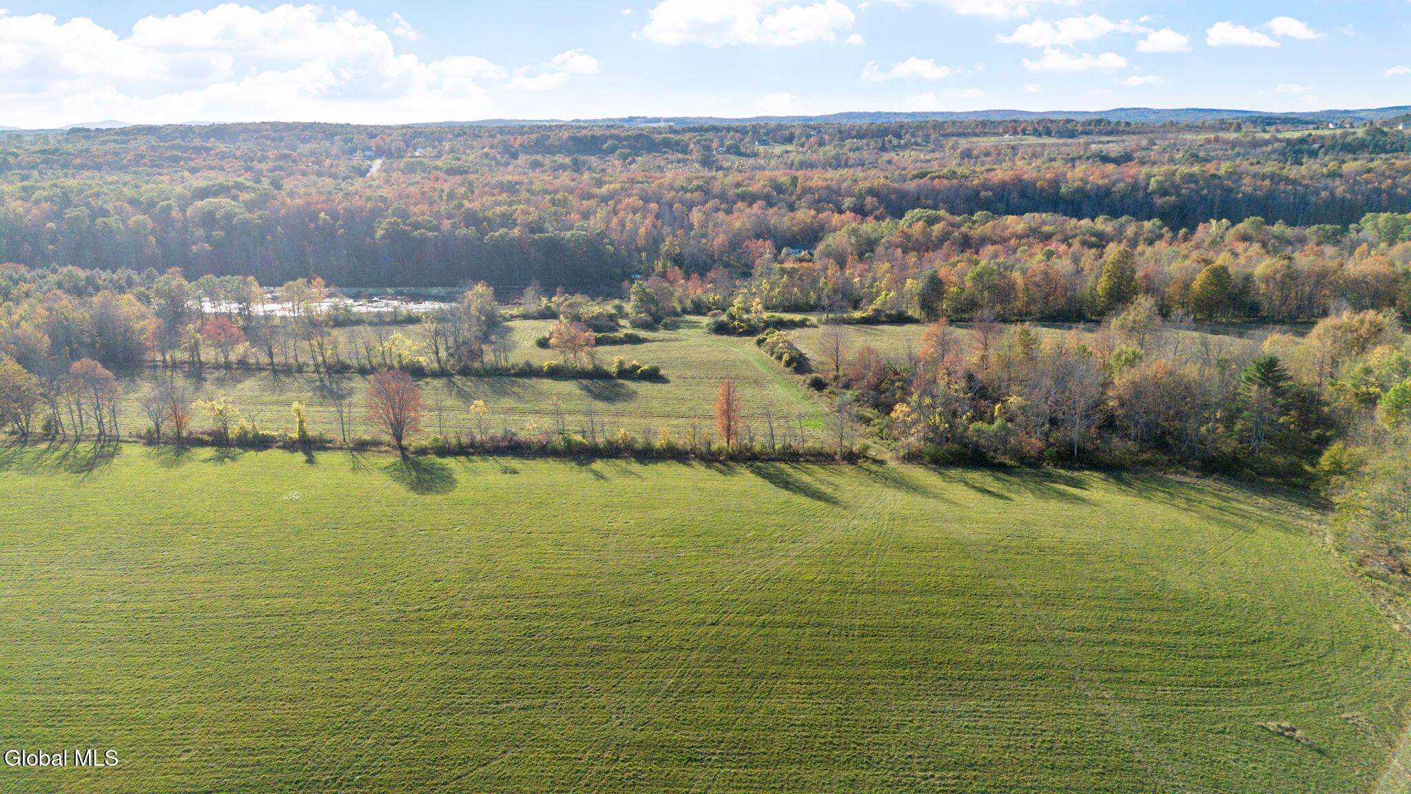 207 Kropp Road Westerlo, NY 12193 - Photo 7 of 15 Photo_22