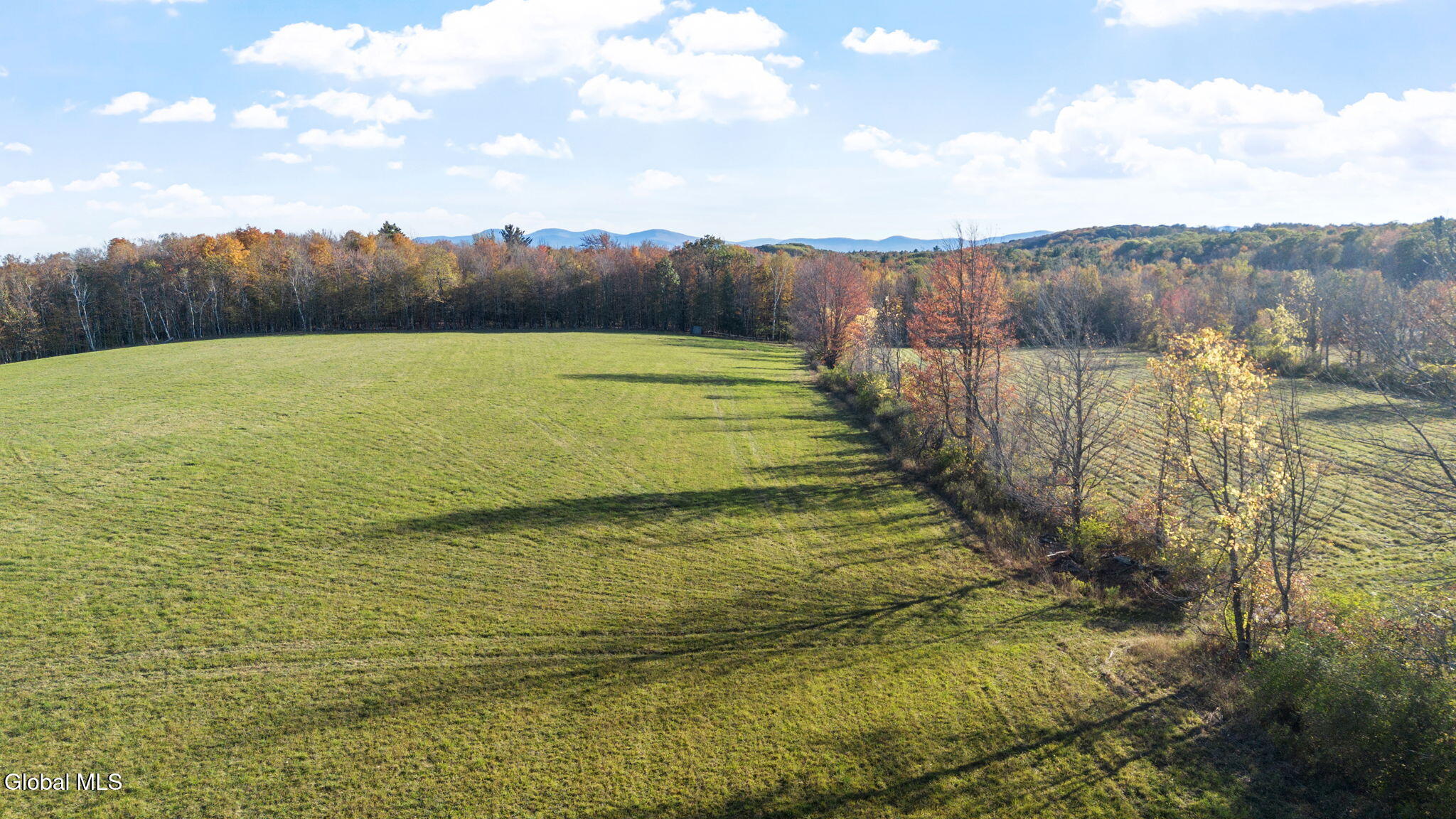 207 Kropp Road Westerlo, NY 12193 - Photo 9 of 15 Photo_24