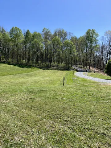 a view of a swimming pool with a yard