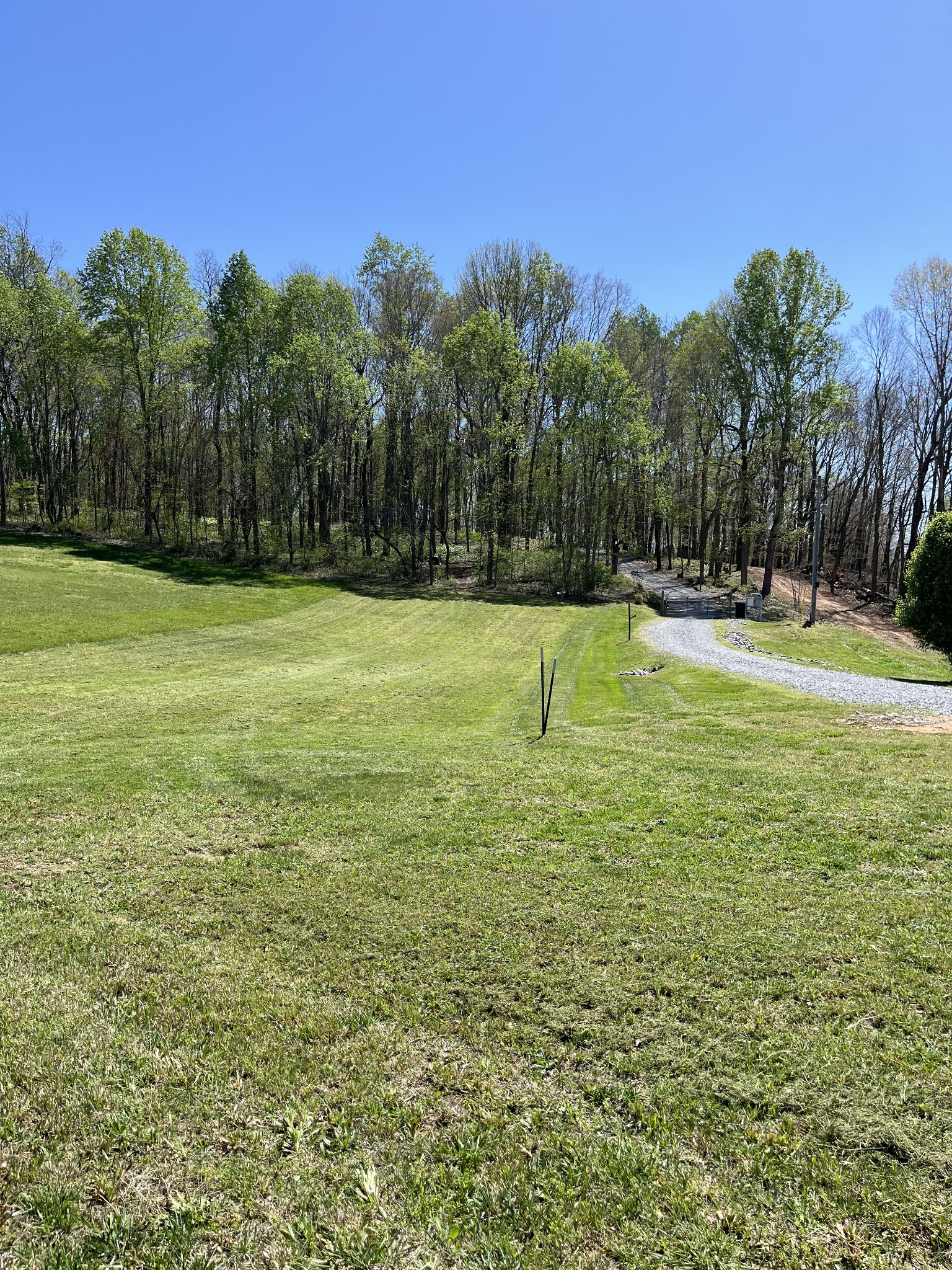 a view of a swimming pool with a yard