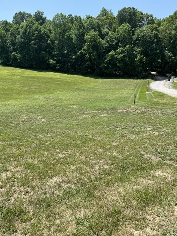 a view of outdoor space and yard