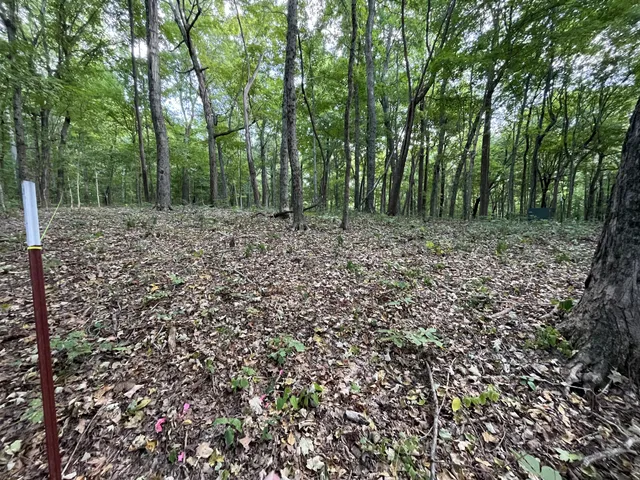 a view of a large yard with lots of green space