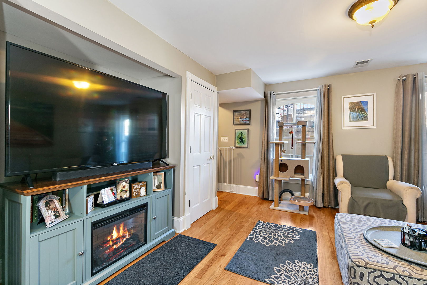 271 Dupage Street Elgin, IL 60120 - Photo 20 of 27 a living room with furniture a flat screen tv and a rug