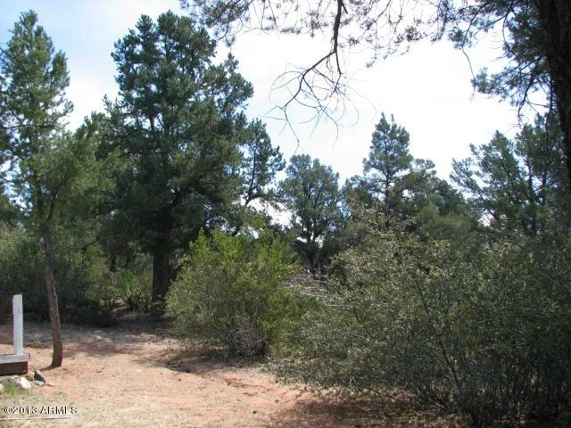 705 North Matterhorn Road Payson, AZ 85541 - Photo 4 of 21 4 back yard