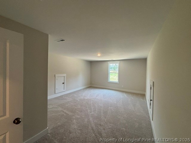 505 Chason Road Lumber Bridge, NC 28357 - Photo 27 of 38