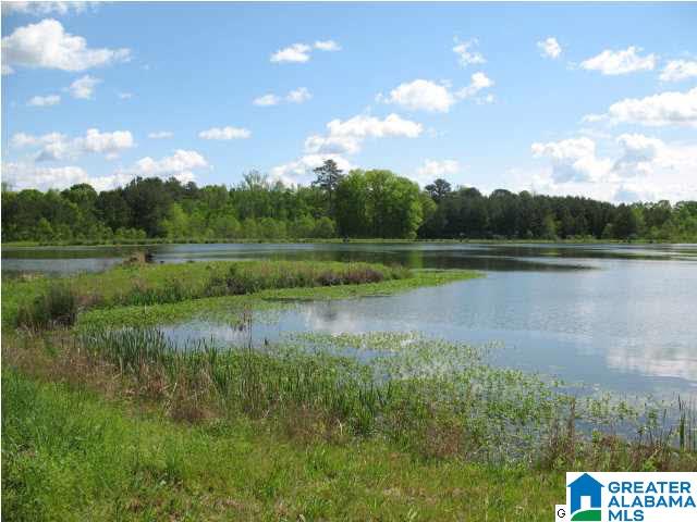 Pinedale Road, Unit 3 Ashville, AL 35953 - Photo 7 of 11