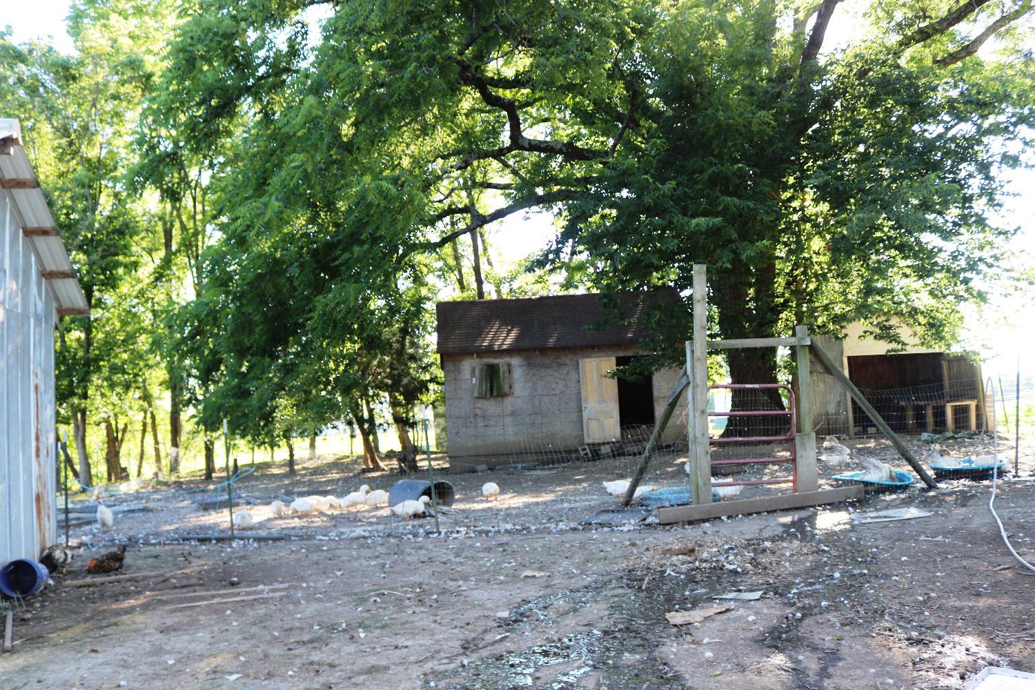 13284 Aberdeen Road Dillsboro, IN 47018 - Photo 17 of 18