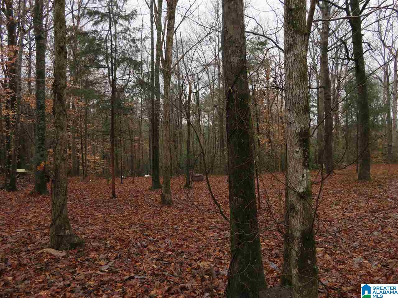 138 Cedar Grove Road West Blocton, AL 35184 - Photo 18 of 44