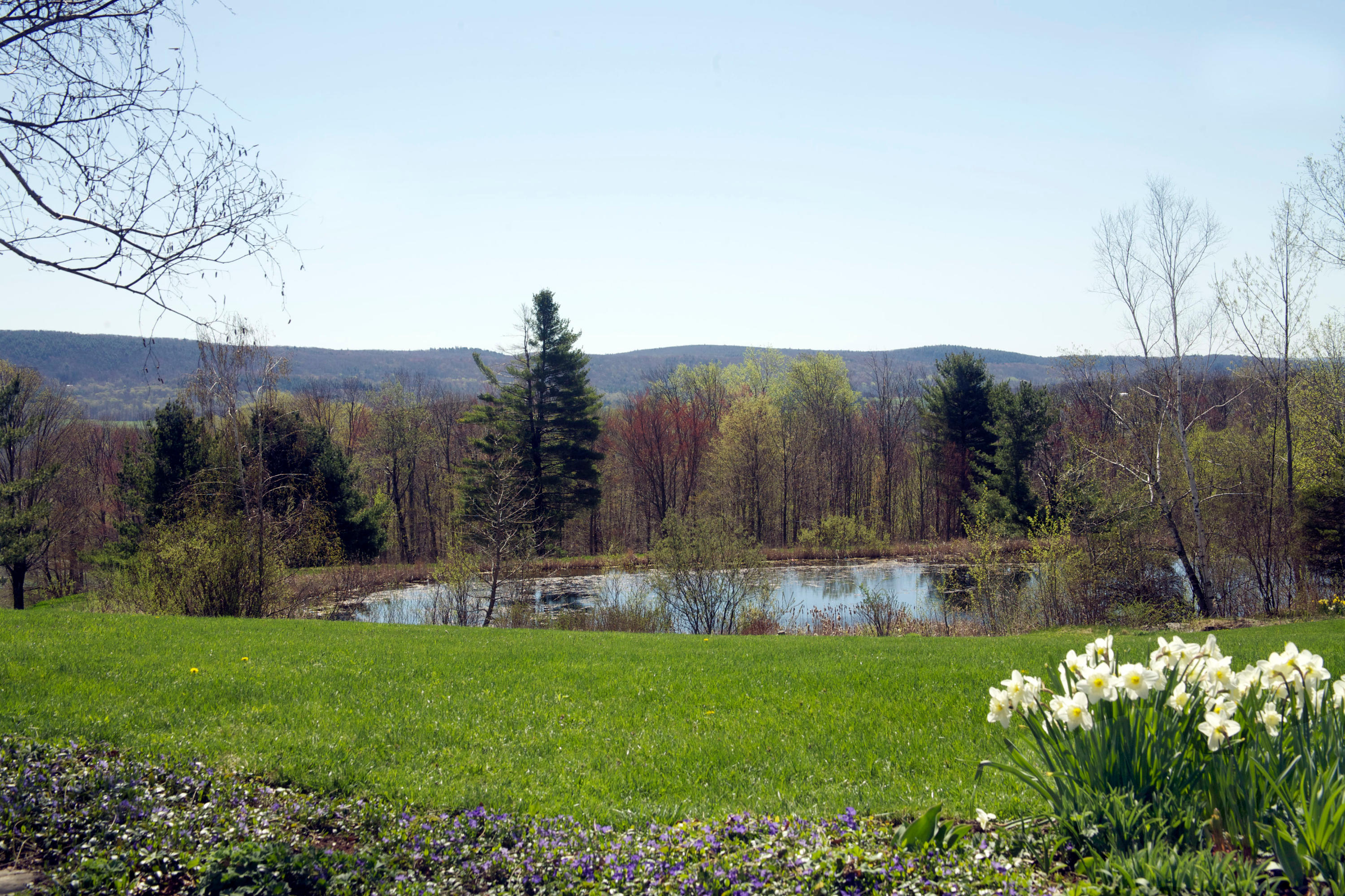 178 Perry Peak Road Richmond, MA 01254 - Photo 4 of 13 a view of garden