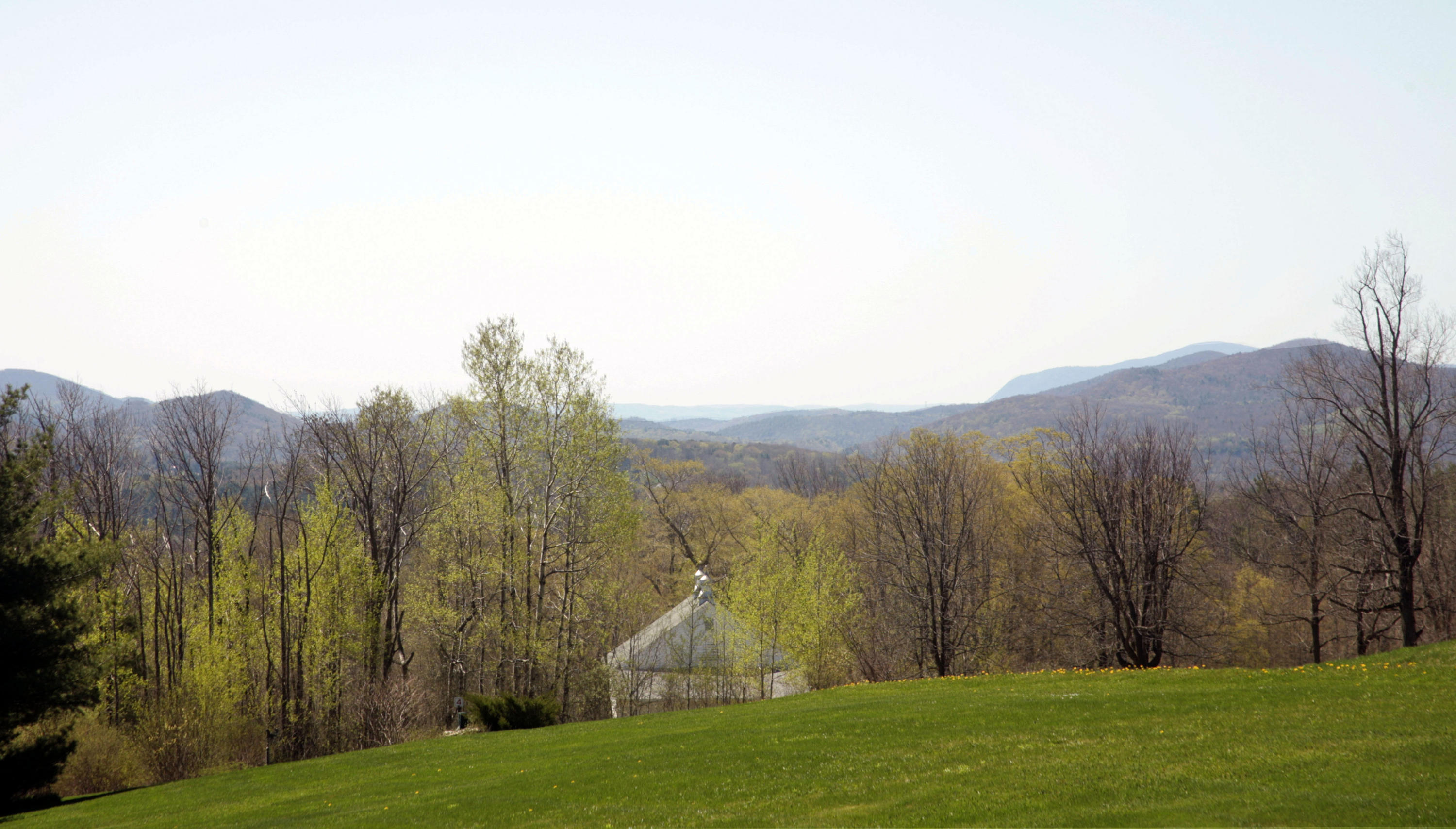 178 Perry Peak Road Richmond, MA 01254 - Photo 5 of 13 a view of a backyard with large trees