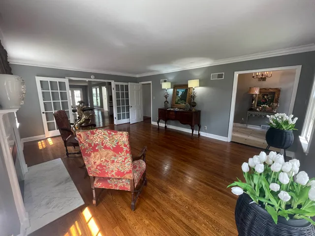 a living room with furniture flowerpot and wooden floor