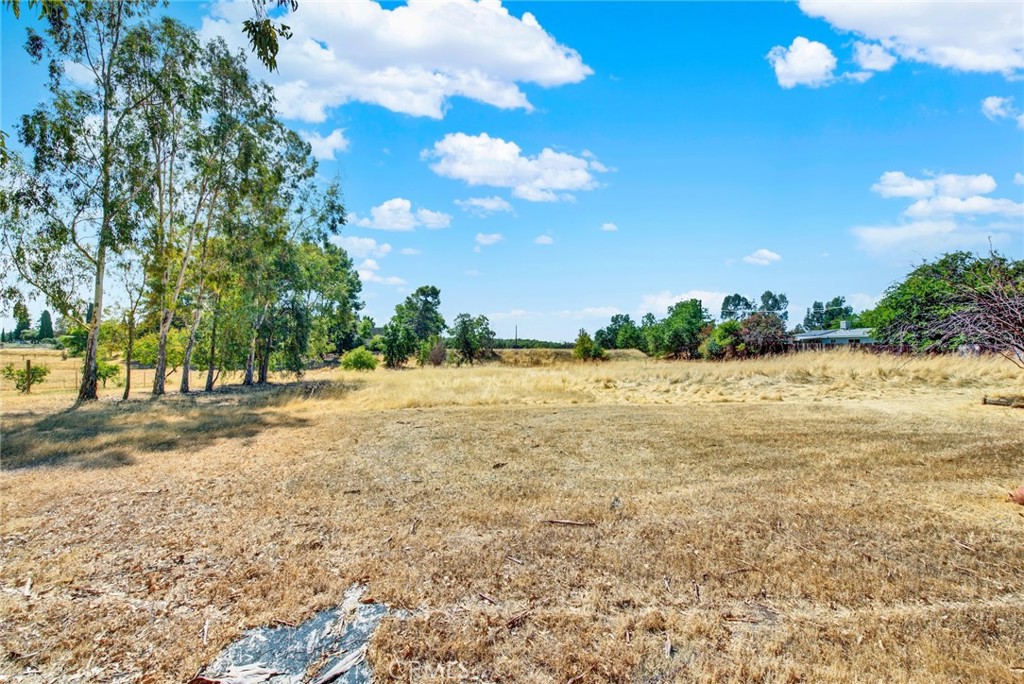 521 East Divisadero Corning, CA 96021 - Photo 20 of 54 a view of a yard with a tree