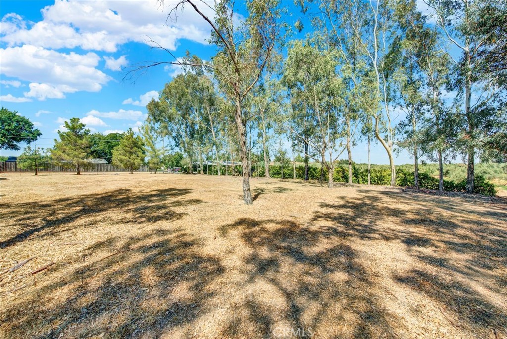 521 East Divisadero Corning, CA 96021 - Photo 24 of 54 a view of road with large trees
