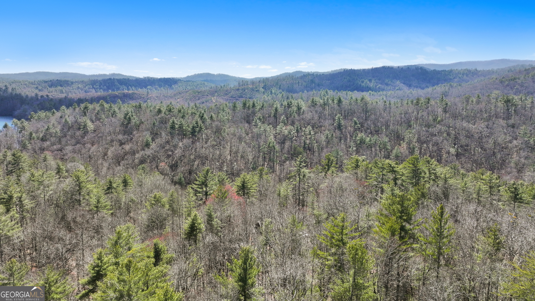 11.1-ac Stevens Ridge Road Ellijay, GA 30540 - Photo 15 of 16 a view of a forest with mountains in the background