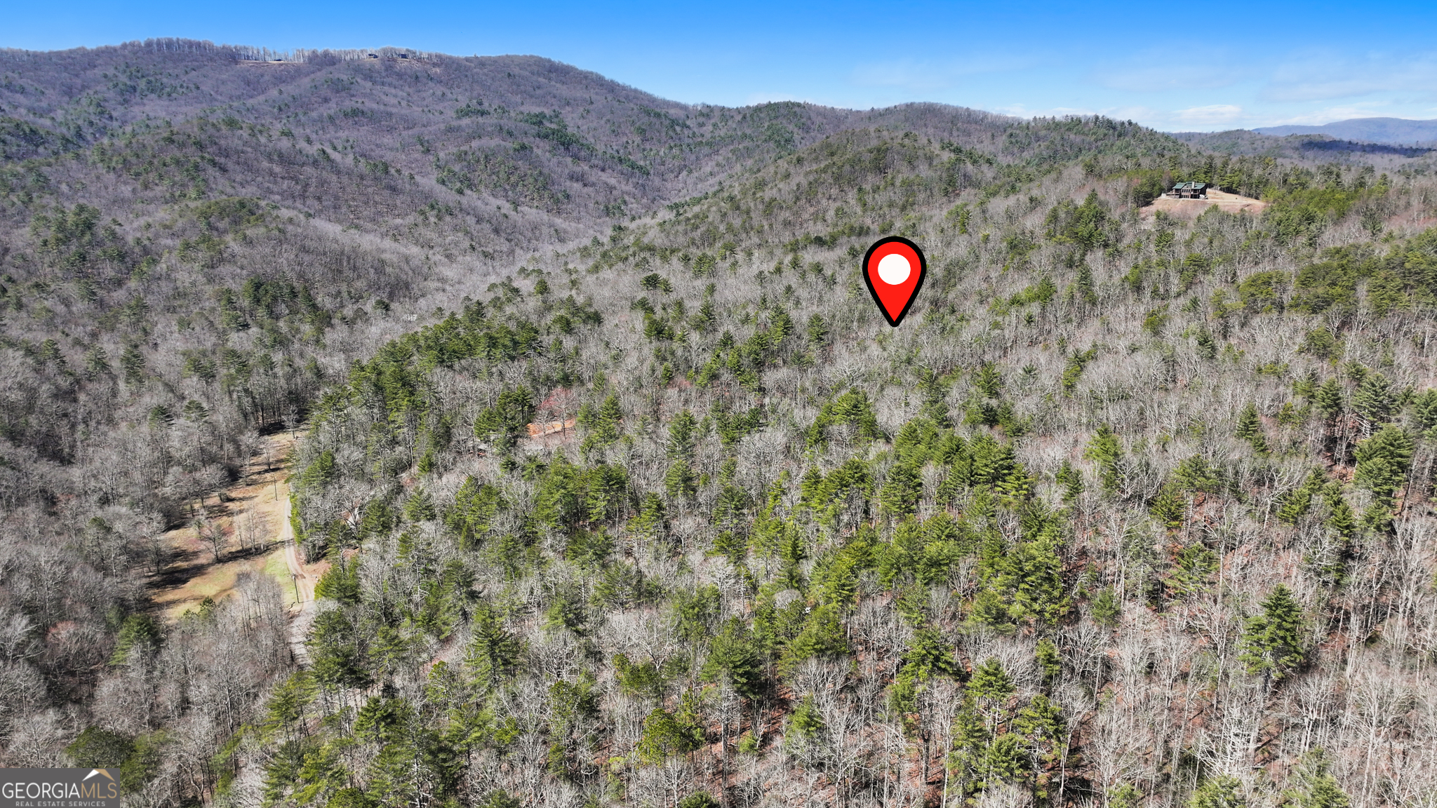 11.1-ac Stevens Ridge Road Ellijay, GA 30540 - Photo 5 of 16 a view of a forest