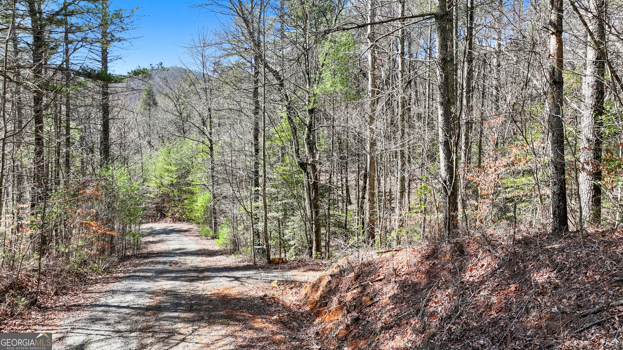 11.1-ac Stevens Ridge Road Ellijay, GA 30540 - Photo 8 of 16 a view of outdoor space and yard