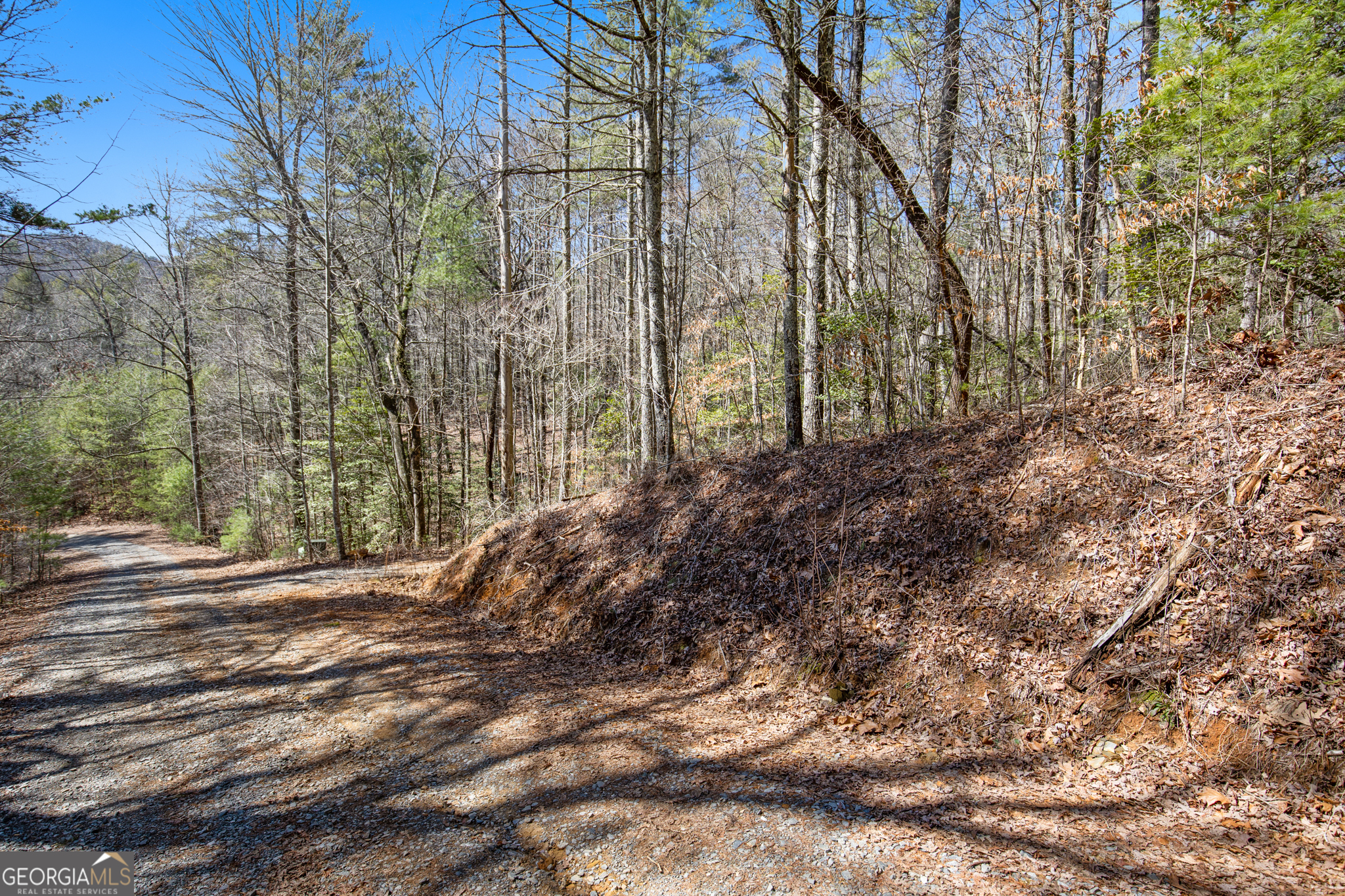 11.1-ac Stevens Ridge Road Ellijay, GA 30540 - Photo 9 of 16 a view of a yard with plants and trees
