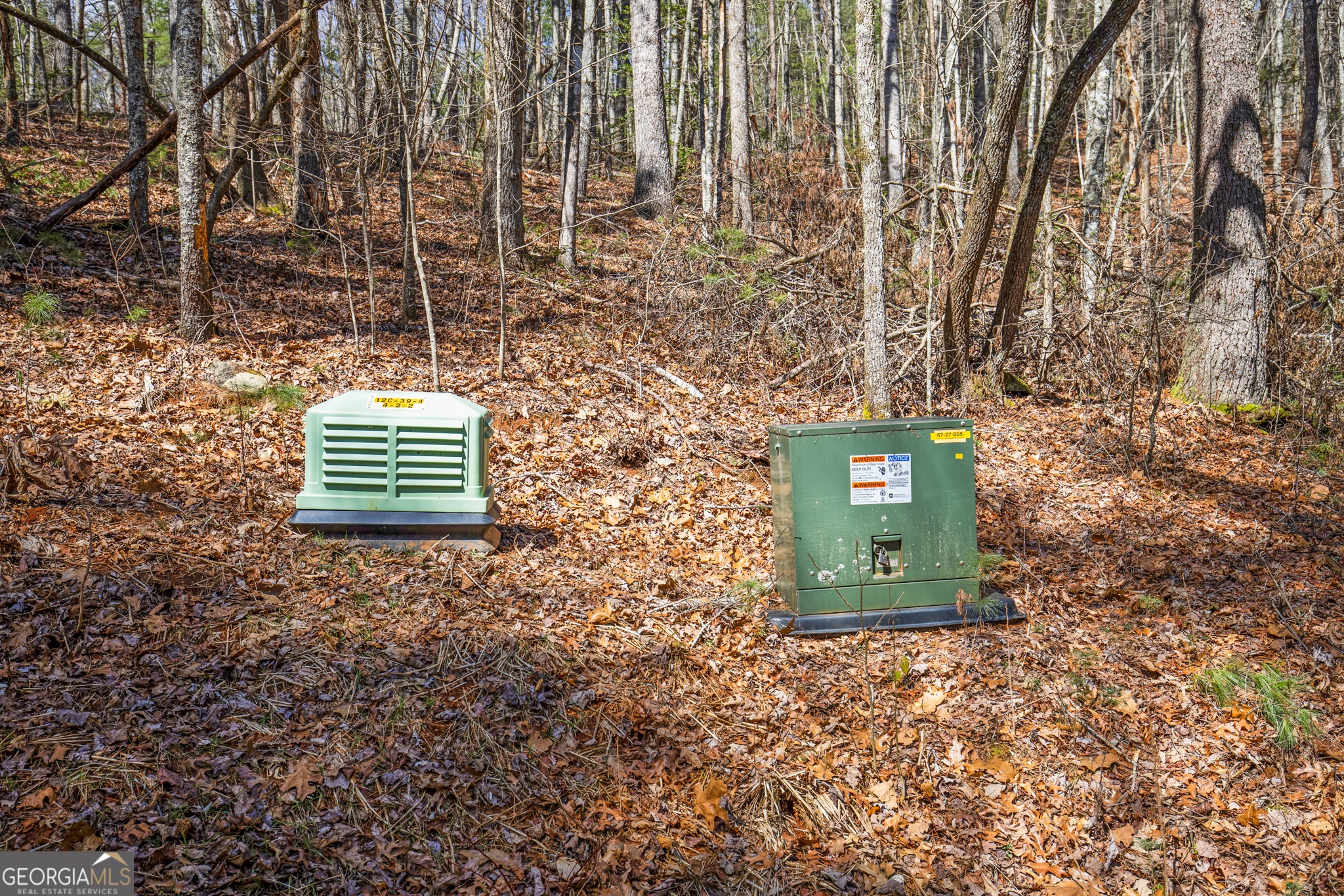 11.1-ac Stevens Ridge Road Ellijay, GA 30540 - Photo 10 of 16 a green field with trees in front of it