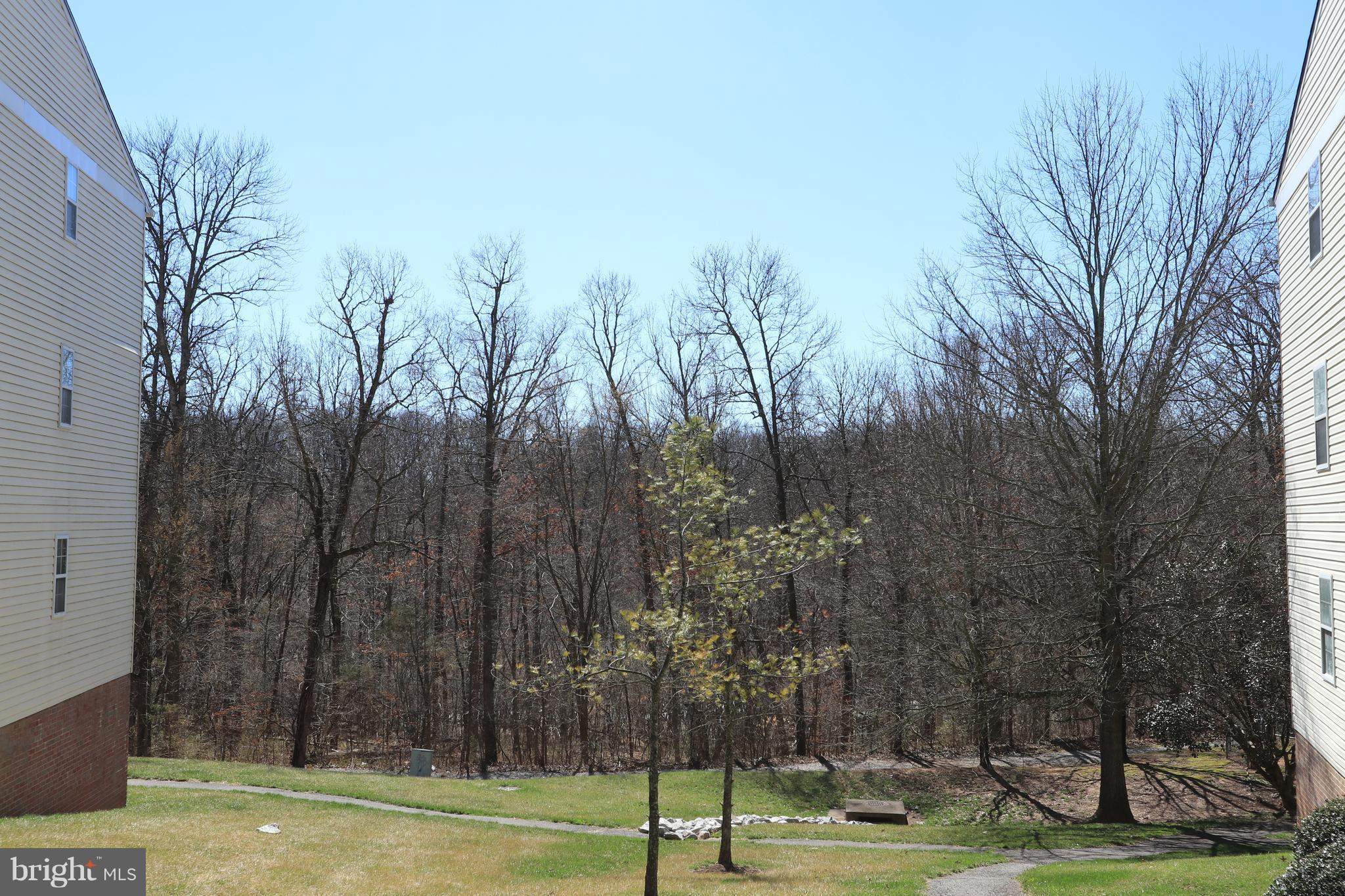 14901 Rydell Road, Unit 202 Centreville, VA 20121 - Photo 2 of 18 View