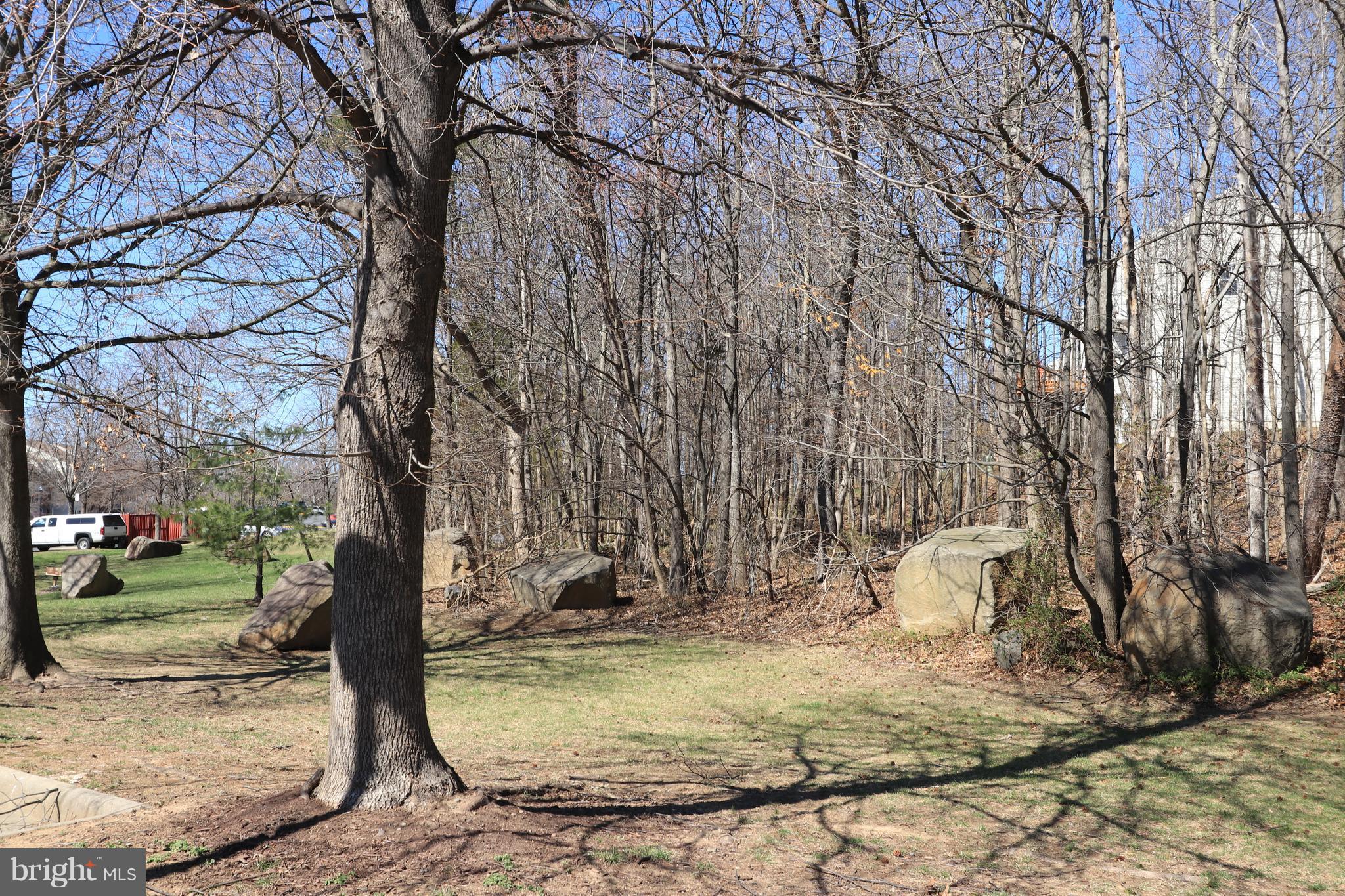 14901 Rydell Road, Unit 202 Centreville, VA 20121 - Photo 3 of 18 View