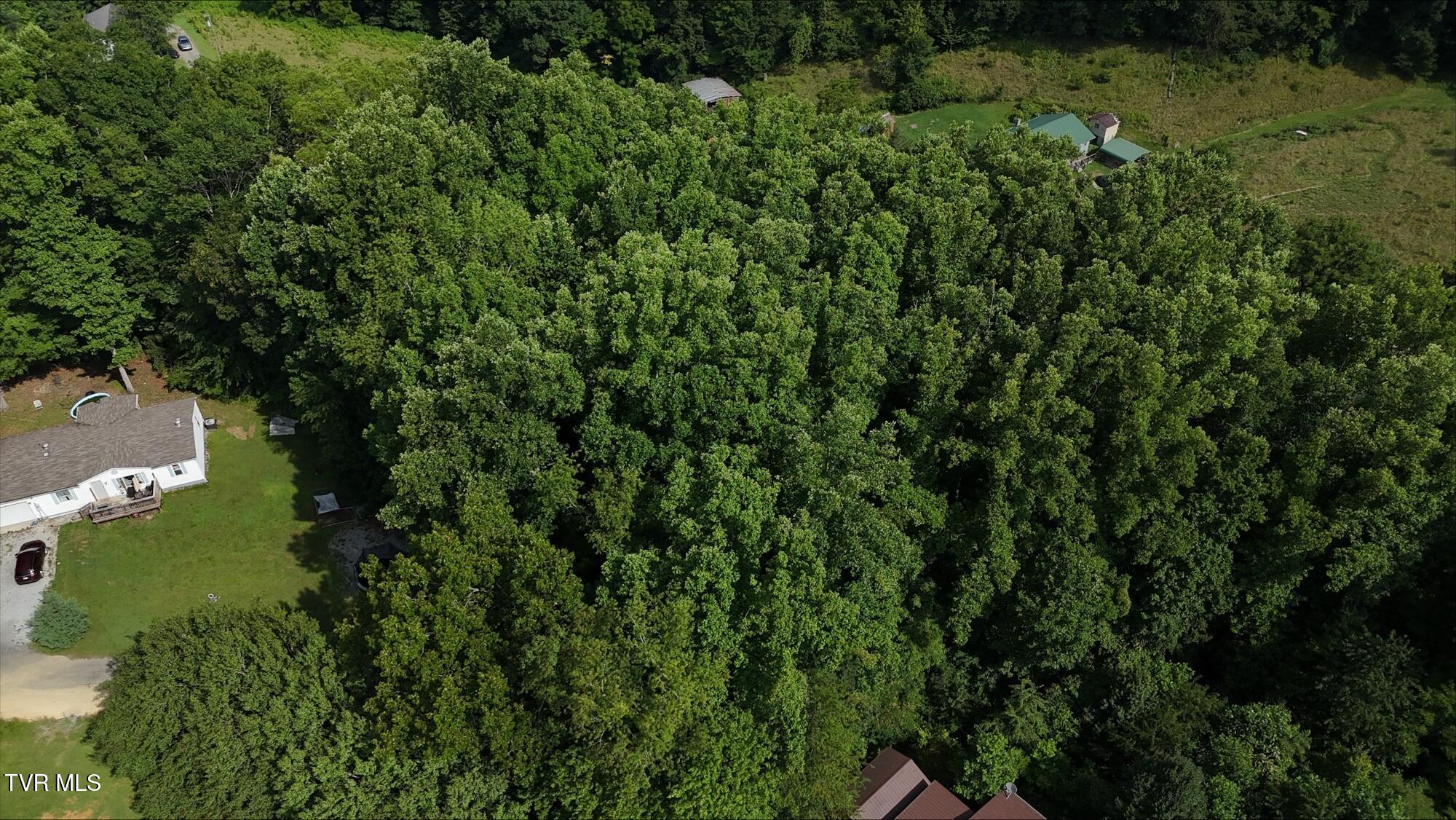 4 Crystal Lane, Unit 4 Unicoi, TN 37692 - Photo 21 of 21 processed-DD431235-AFB3-40CA-AF29-0DAD17