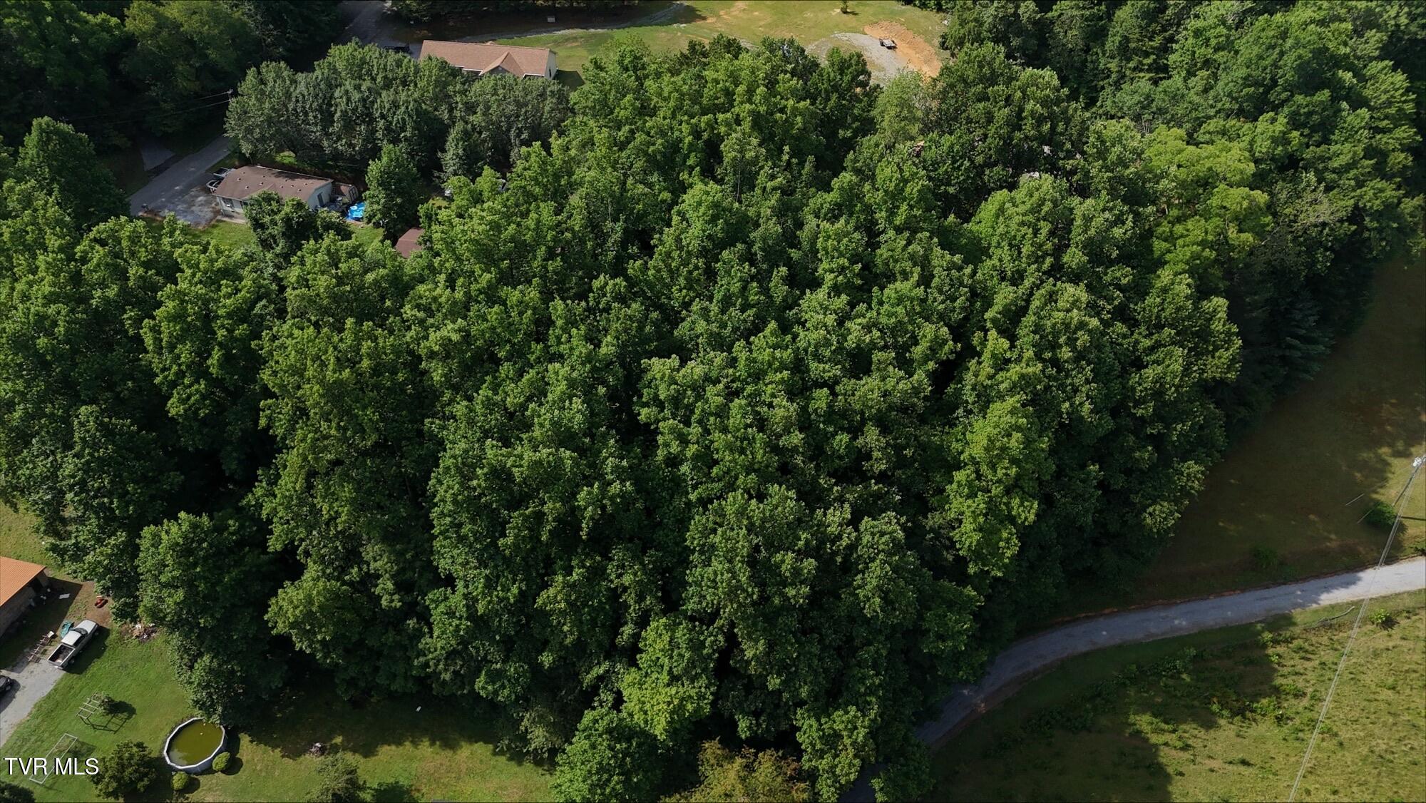4 Crystal Lane, Unit 4 Unicoi, TN 37692 - Photo 6 of 21 processed-2CC4C126-717A-4D54-9B84-E34C53