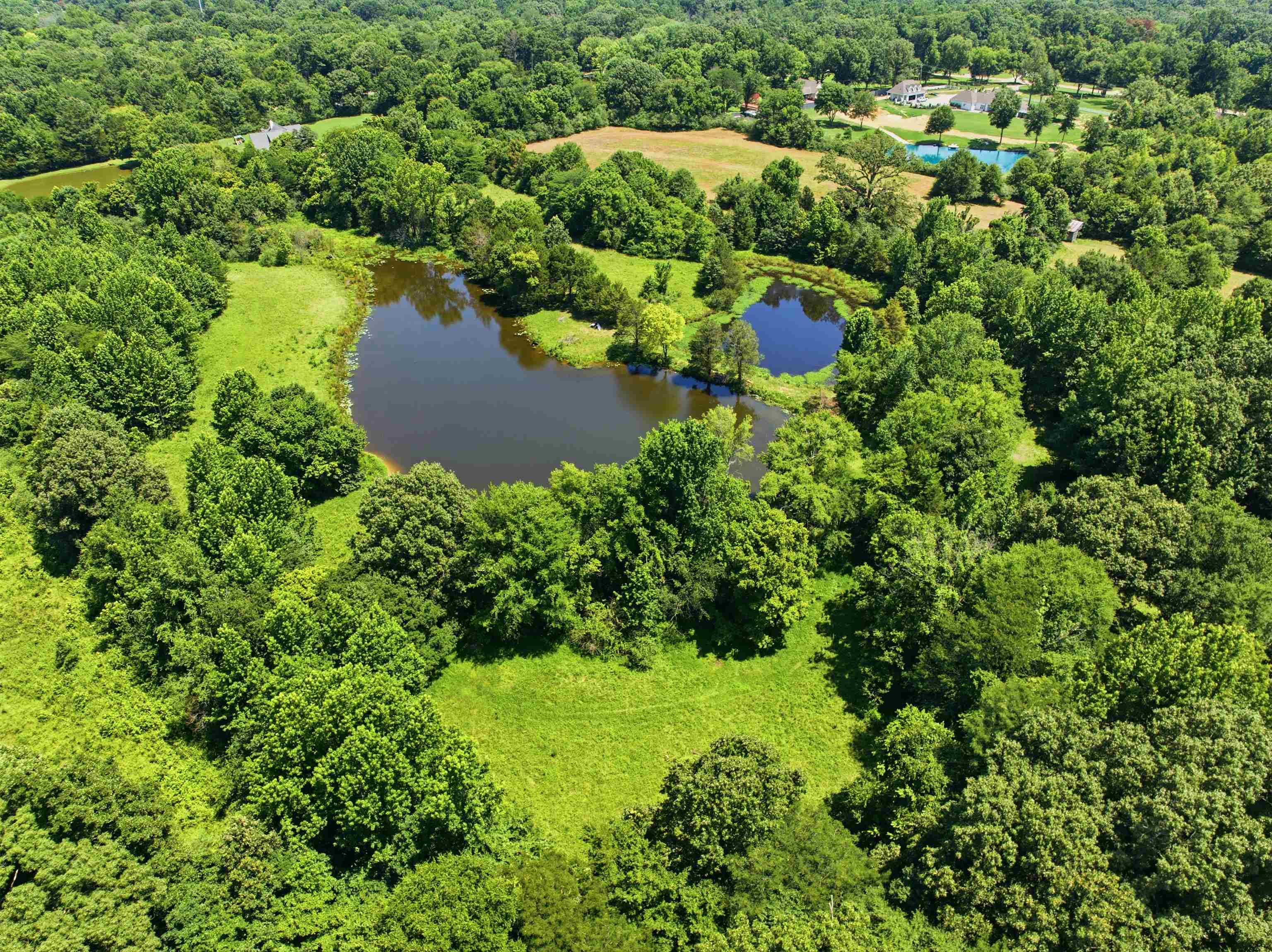 1370 North Reid Hooker Road Eads, TN 38028 - Photo 9 of 39