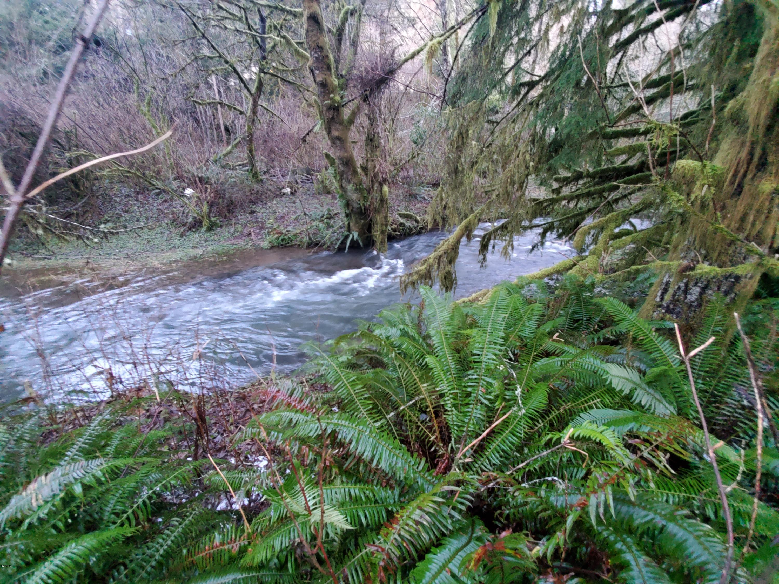 301 North Bear Creek Road Otis, OR 97368 - Photo 3 of 5 more creek