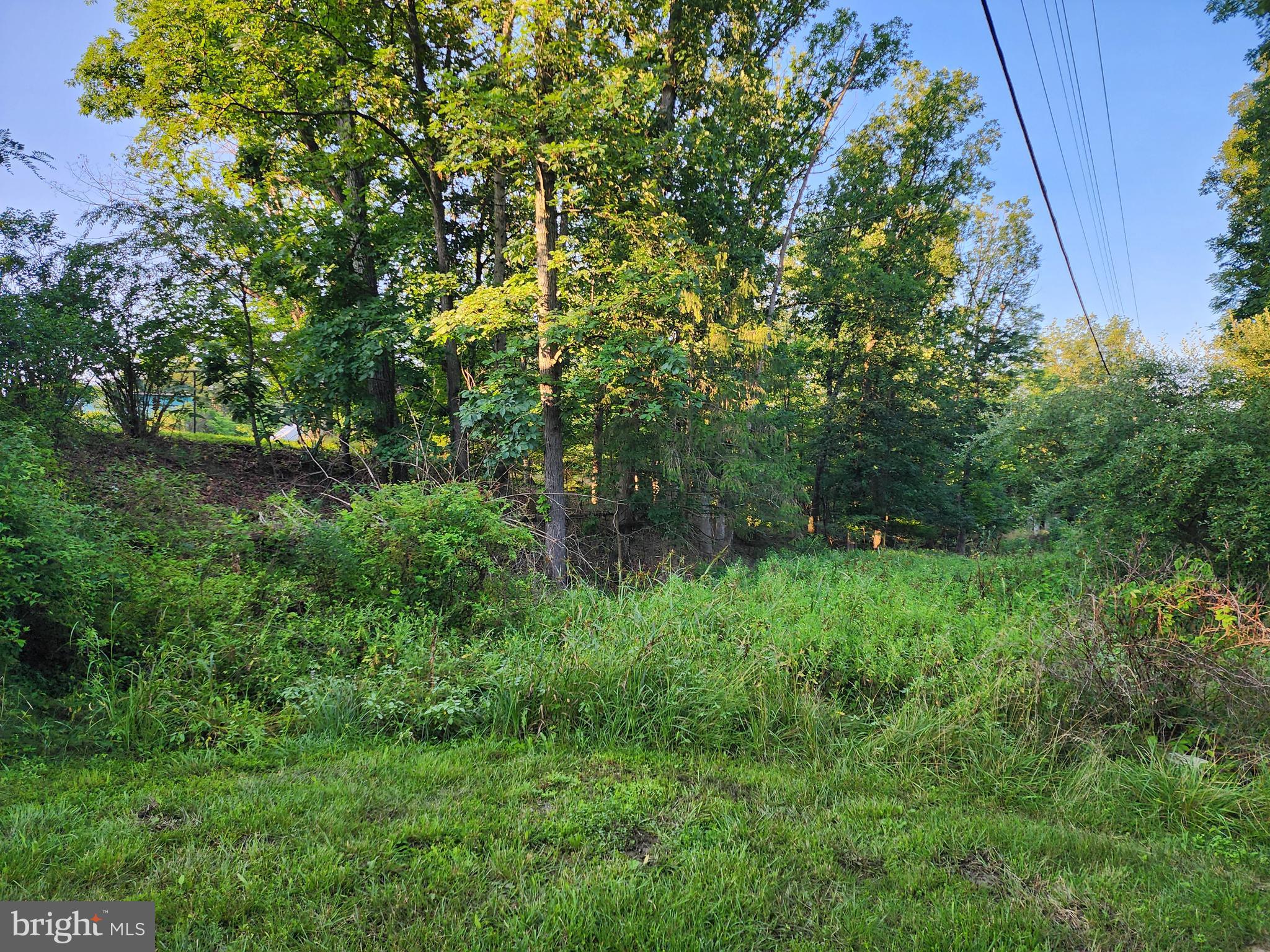4549 Georges Run Road Ridgeley, WV 26753 - Photo 19 of 56