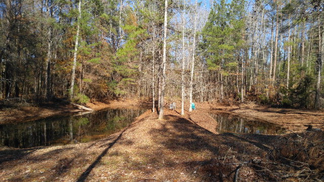 1605 Cartledge Road Lincolnton, GA 30817 - Photo 4 of 7 Gallery Image 4