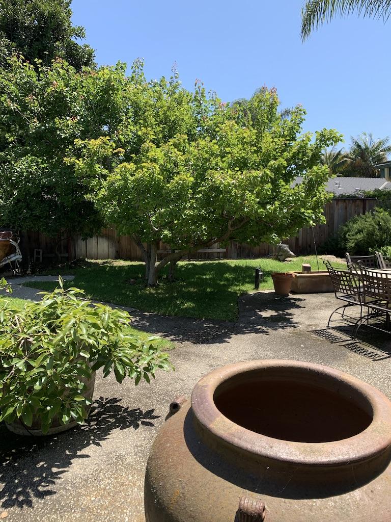 5450 Hales Lane Carpinteria, CA 93013 - Photo 13 of 20 Back Garden