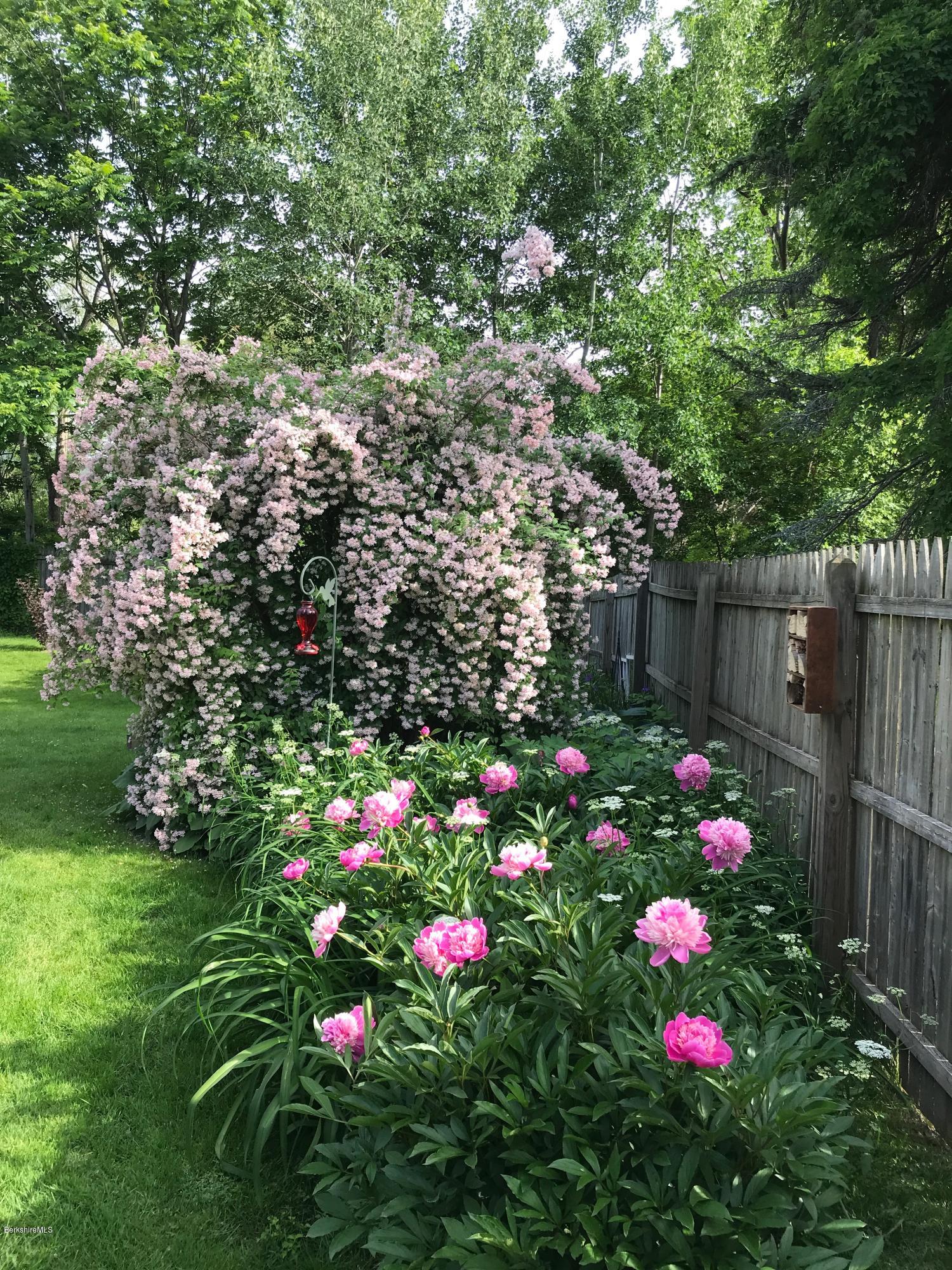 664 State Road North Adams, MA 01247 - Photo 9 of 26 beautiful plantings
