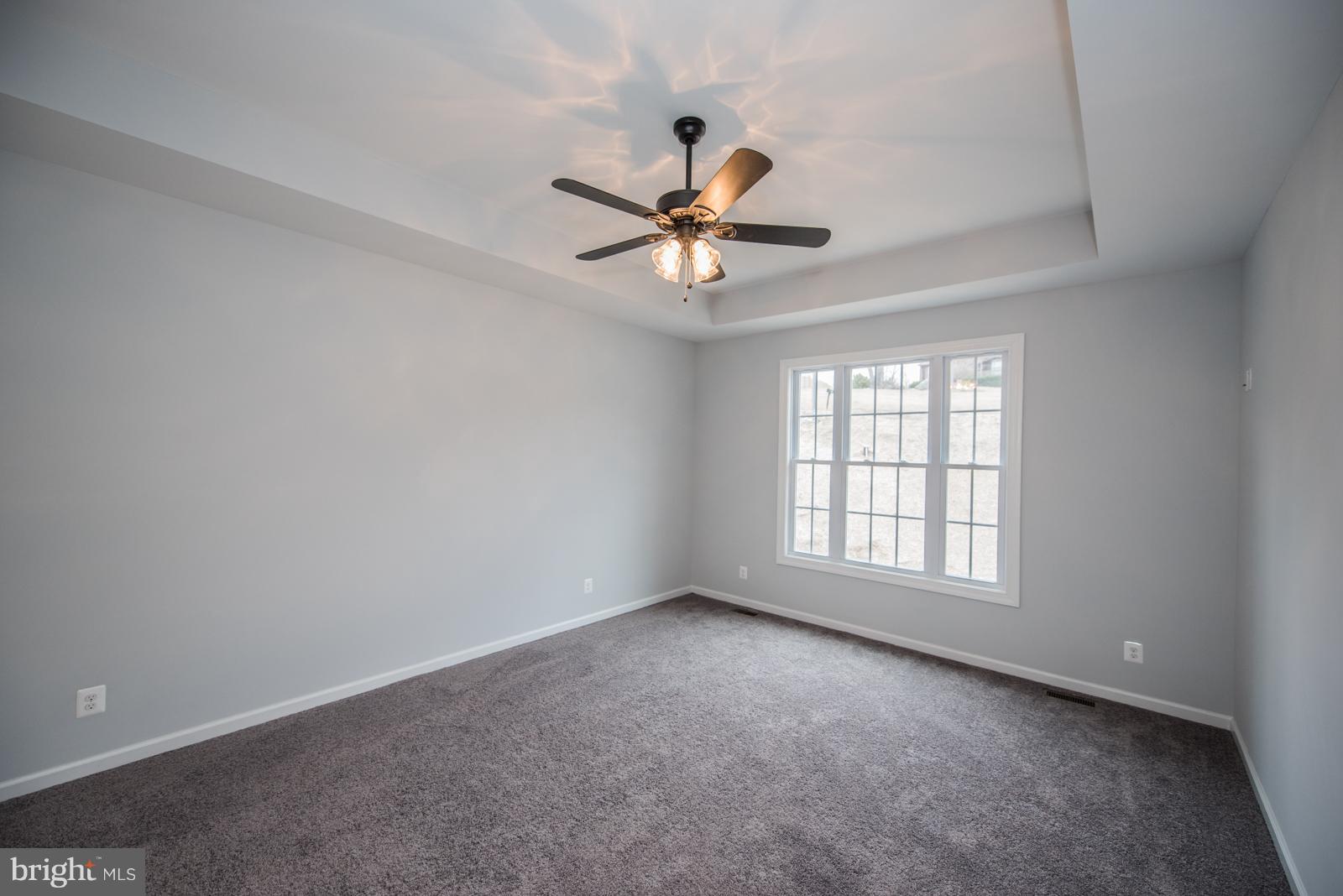 42 Apple Jack Road Linden, VA 22642 - Photo 14 of 30 Tray Ceilings