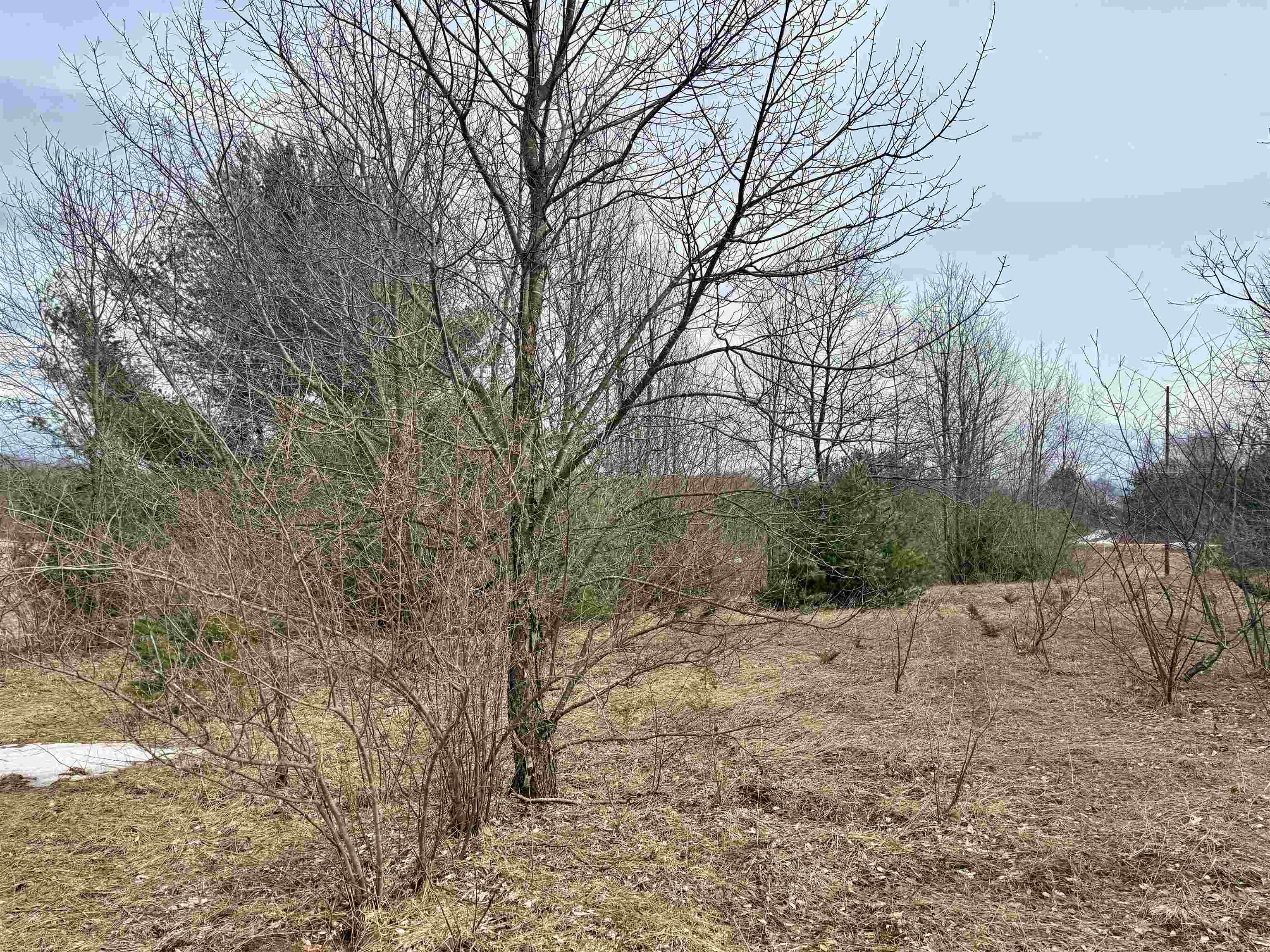0 West Trumbull Road, Unit LOT A Maple City, MI 49664 - Photo 5 of 25