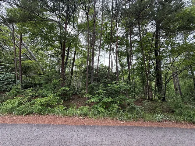 $40,000 | 318 Gauley Falls Road, Pickens, SC 29671