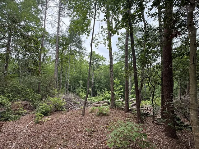 $40,000 | 318 Gauley Falls Road, Pickens, SC 29671