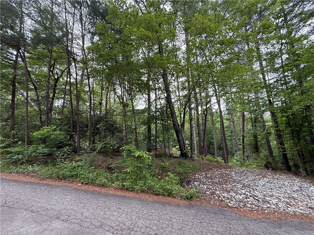 318 Gauley Falls Road Pickens, SC 29671 - Photo 2 of 12