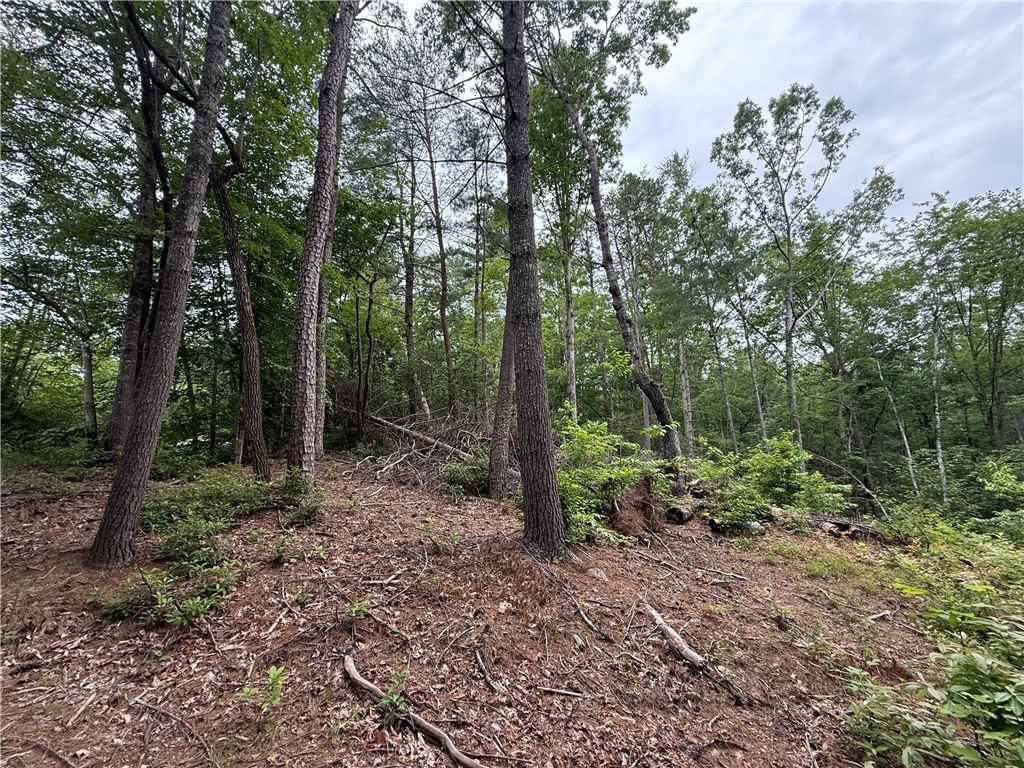 318 Gauley Falls Road Pickens, SC 29671 - Photo 4 of 12