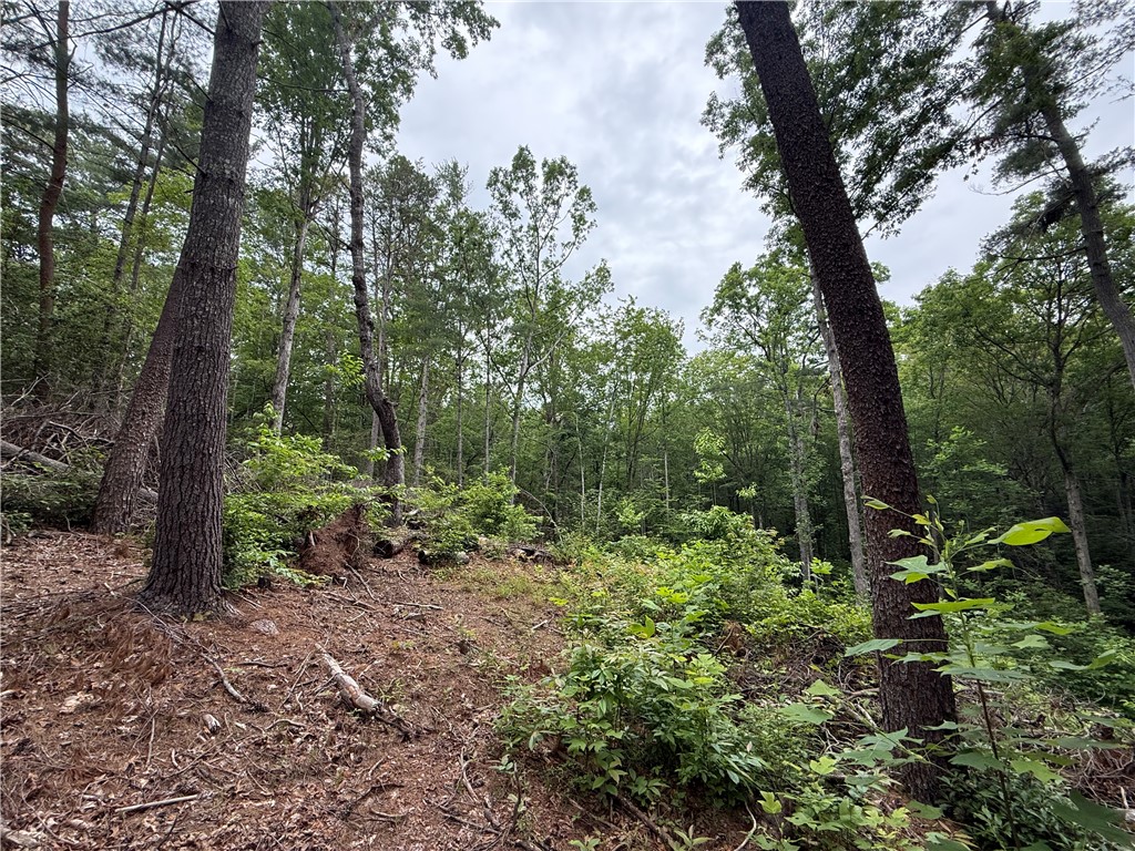 318 Gauley Falls Road Pickens, SC 29671 - Photo 5 of 12