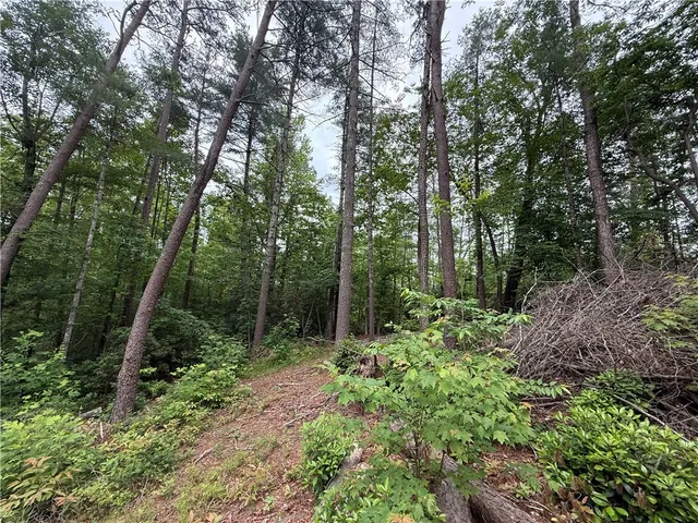 $40,000 | 318 Gauley Falls Road, Pickens, SC 29671