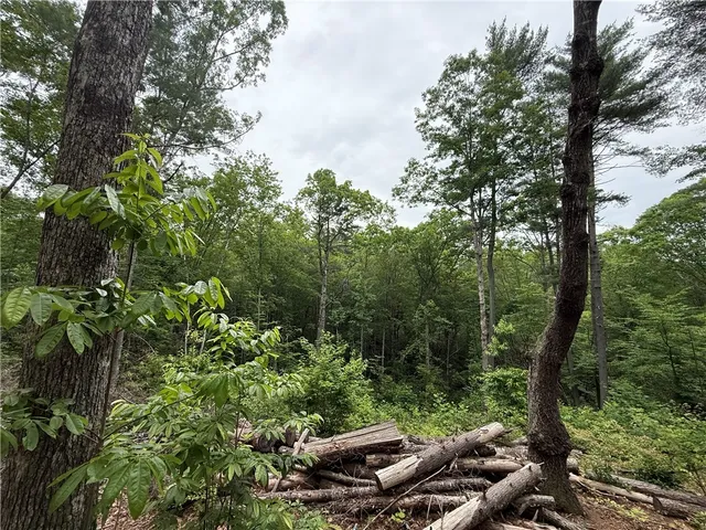 $40,000 | 318 Gauley Falls Road, Pickens, SC 29671